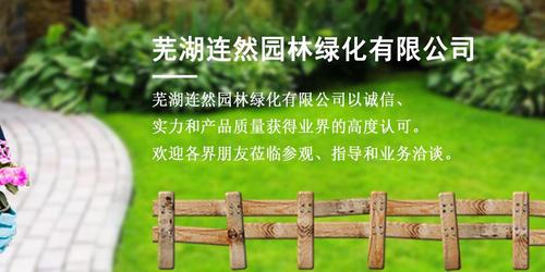 芜湖绿化工程-芜湖连然园林绿化-绿化工程样化