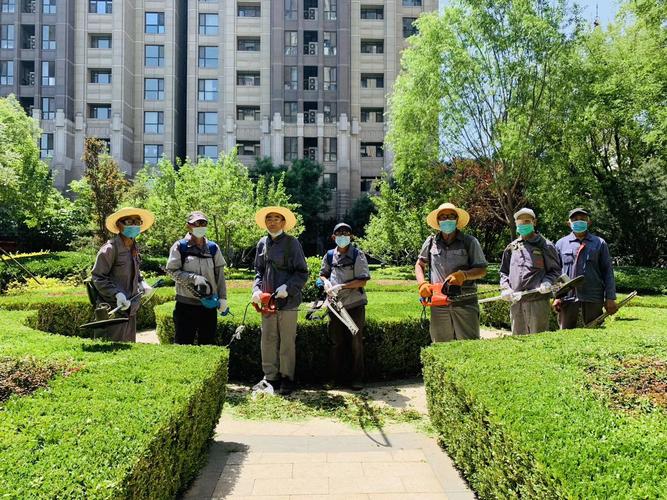 夏日绿化施工作业—北京公司 | 林溪园林
